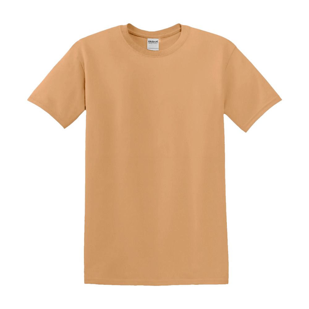 Everyday Basic T-Shirt- Our Design (Sizes S-XL) Tans/Browns